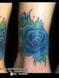 女人腿部经典的蓝玫瑰纹身图片