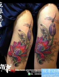 女人腿部唯美的传统莲花蜻蜓纹身图片