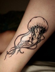 男人腿部唯美时尚的水母纹身图片