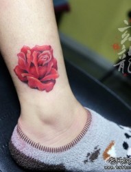 女人腿部好看精美的红玫瑰纹身图片