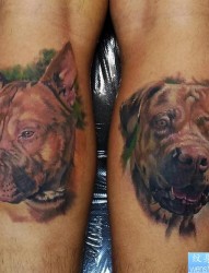 一幅写实的彩色小狗肖像纹身作品