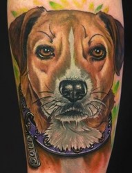 一幅小狗彩色肖像纹身图片