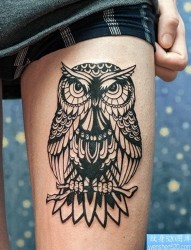 一幅腿部猫头鹰纹身图片由纹身520图库推荐