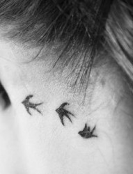 女性耳朵后面三只小鸟纹身