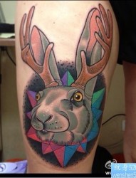 纹身520图库推荐一幅腿部school 鹿兔纹身图片