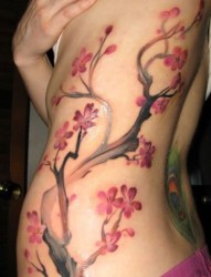 腰部漂亮的梅花纹身