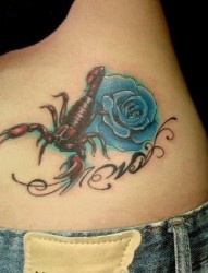 腰部纹身图片：腰部彩色蝎子玫瑰纹身图案