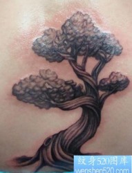 腰部纹身图片：腰部树纹身图案