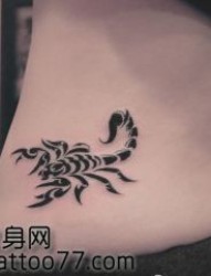 性感的美女腰部图腾蝎子纹身图片