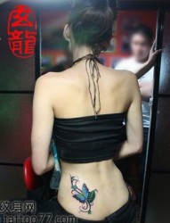 美女腰部唯美的蝴蝶藤蔓纹身图片