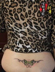 美女腰部好看的蝴蝶纹身图片