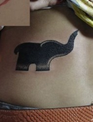 女孩子腰部图腾大象纹身图片