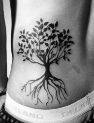 腰部潮流流行的图腾树纹身图片