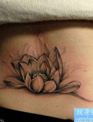 女人腰部唯美好看的莲花纹身图片
