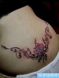 美女腰部精美好看的花卉藤蔓纹身图片