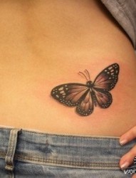 美女腰部唯美时尚的蝴蝶纹身图片