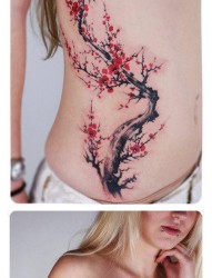 美女腰部精美潮流的梅花纹身图片