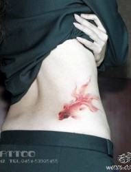 女人腰部时尚经典的写意小金鱼纹身图片