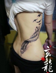 美女腰部唯美潮流的羽化燕纹身图片