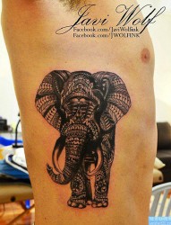 侧腰上一幅精致的大象纹身图片