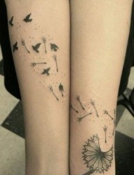 手臂流行潮流的蒲公英鸽子纹身图片
