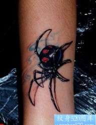 手臂好看的蜘蛛纹身图片