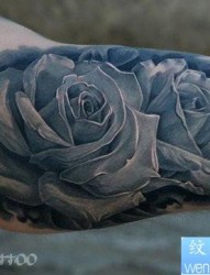 手臂内侧经典的欧美彩色玫瑰花纹身图片