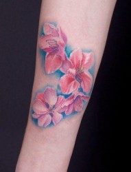 女人手臂漂亮精美的彩色桃花纹身图片