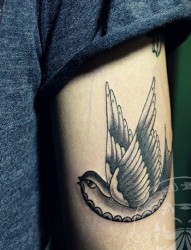 纹身520图库推荐一幅手臂燕子纹身图片