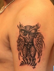 一幅手臂猫头鹰纹身图片由纹身520图库推荐