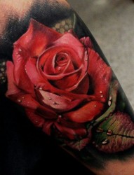 手臂上逼真的玫瑰纹身手
