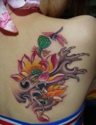 肩部纹身图片：经典潮流肩部彩色莲花蜻蜓纹身图片纹身作品