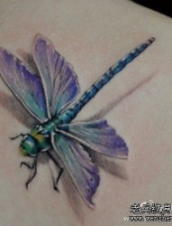 纹身图片：肩胛骨蜻蜓文身图片作品