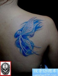 美女肩部彩色精灵翅膀纹身图片