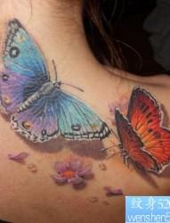 美女肩部3D彩色蝴蝶纹身图片