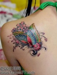 美女肩部唯美的蝴蝶樱花纹身图片