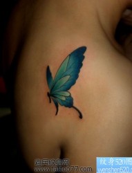 美女肩部好看的蝴蝶纹身图片