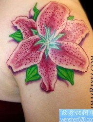 肩部彩色花卉纹身图片