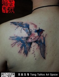 女人肩膀时尚经典的水墨燕子纹身图片