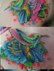 男人肩膀处漂亮的彩色小蜂鸟纹身图片