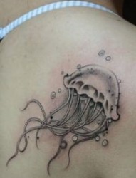 女孩子肩背流行的水母纹身图片