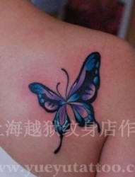 一幅肩背小清新彩色蝴蝶纹身图片