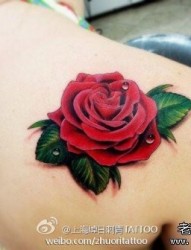 女孩子肩背潮流流行的彩色玫瑰花纹身图片