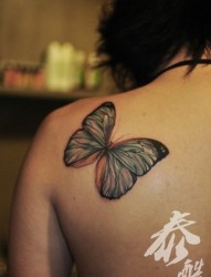 女人肩背唯美潮流的彩色蝴蝶纹身图片