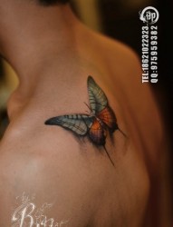 男人后肩背漂亮唯美的蝴蝶纹身图片