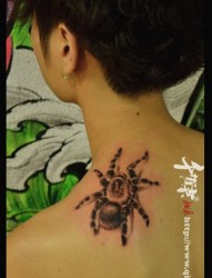 肩膀处一幅潮流经典的蜘蛛纹身图片
