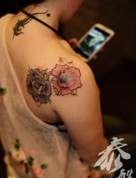 女人肩部好看姐妹玫瑰花纹身图片