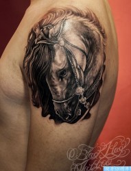纹身520图库推荐一幅大臂马纹身图片
