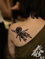 女人肩背时尚潮流的蜘蛛纹身图片