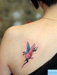 一幅肩部彩色蝴蝶纹身图片由纹身520图库推荐